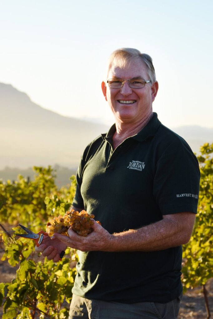 Winzer Gary Jordan hält bei der Weinlese Trauben in der Hand, im Hintergrund die Weinberge von Stellenbosch